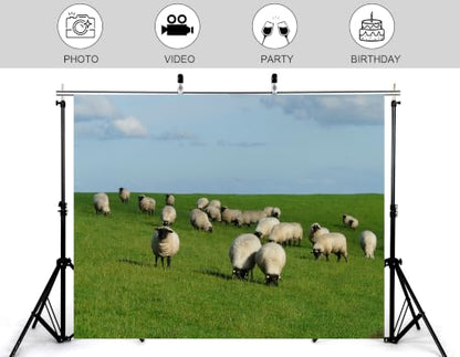 8x8ft Fabric Black Face Sheep Grassland Backdrop Flock Wool Ewes Lush Green Pasture Pale Cloud Sky Photography Background Tapestry Party Farm Rural Decorations Photo Booth Props - size: 8x8ft
