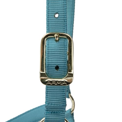 Shires ARMA Adjustable Nylon Halter - color: Teal, size: Cob