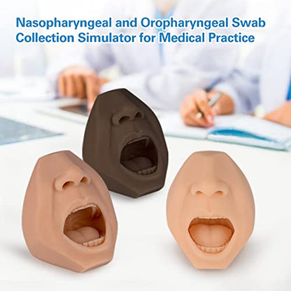 Nasal Swab Training Model, Throat and Oral Swab Collection Simulator, White - color: white