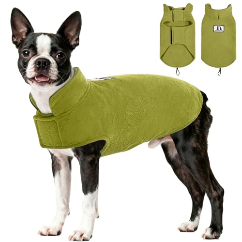 DENTRUN Reversible Dog Winter Coat, Windproof Polar Fleece Reflective Vest - color: Green, size: Medium