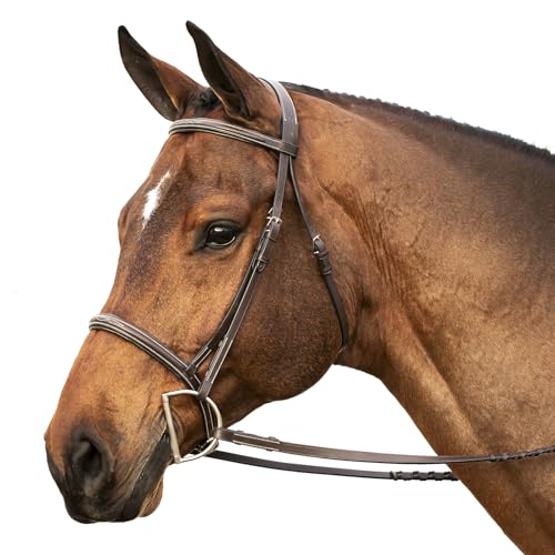 Equinavia Saga Adjustable Padded Fancy Stitched Hunter Bridle with Reins - size: Horse