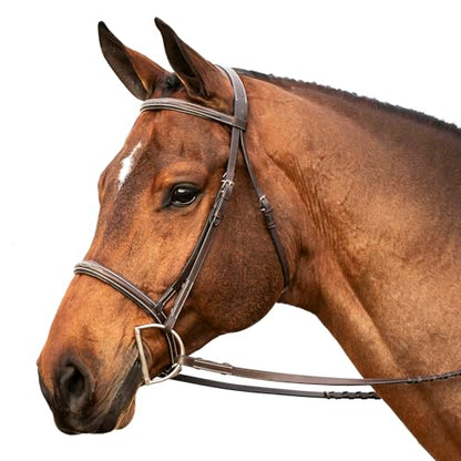 Equinavia Saga Adjustable Padded Fancy Stitched Hunter Bridle with Reins - size: Horse