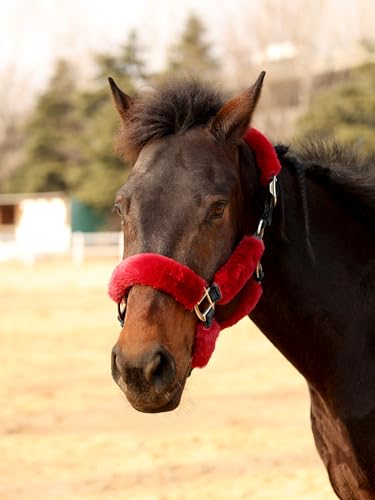 Harrison Howard Fleece Halter Covers for Horses, Set of 9, Prevent Hair Loss Pressure Marks, Padded Horse Halter Fleece Set Burgundy - color: Burgundy