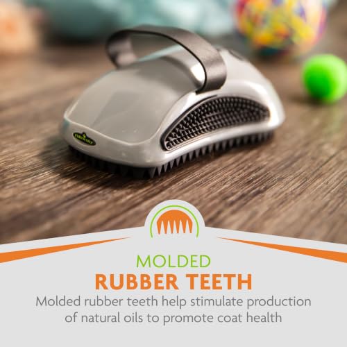 FURminator Curry Comb for Dogs & Cats With Short, Dense Coats | Removes Dust & Loose Hair, Distributes Natural Oils for Healthy Coat, Ideal for Short & Medium Coats, For Daily Use