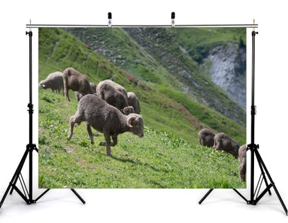 9x6ft Single Running Wool Sheep Backdrop Rolling Green Hillside Foggy Cliff Background Photography Background Tapestry Party Country Pasture Scenery Decorations Banner Photo Booth Props - size: 9x6ft