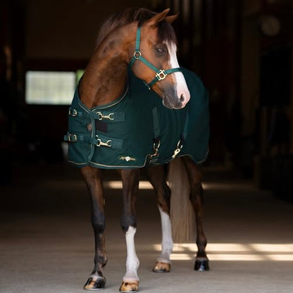 Kensington Poly Cotton Stable Sheet Pony Fit - color: A- Hunter, size: 60"