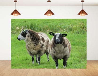 4x4ft Fabric Spotted Farm Sheep Backdrop Two Brown White Wool Sheep Lush Bright Green Meadow Grass Background Party Farm Animal Decorations Tapestry Photo Booth Props - size: 4x4ft