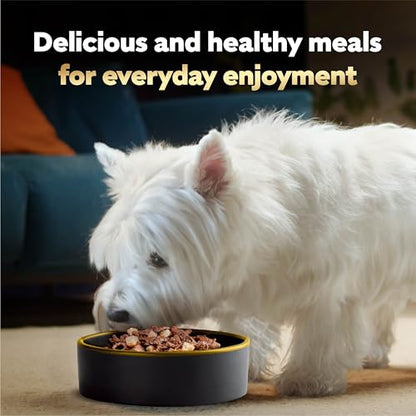Cesar Loaf and Delights Wet Dog Food, Variety Lovers, 36 count, 2 pack - size: 3.5 Ounce (Pack of 72)