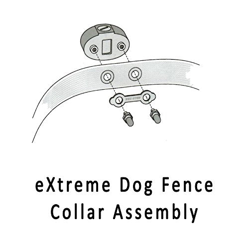 Underground Electric Dog Fence Kit, Standard, 1-Dog, 2500 ft | Complete DIY system: digital transmitter, waterproof receiver(s), boundary + twisted wire, training flags, splices, Premium - size: 2500 ft