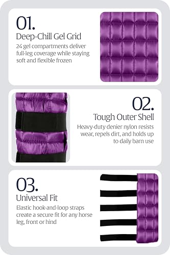 Equinavia Cool Relief Therapy Equine Ice Boots for Horses-Gel Cooling Wraps - color: Purple