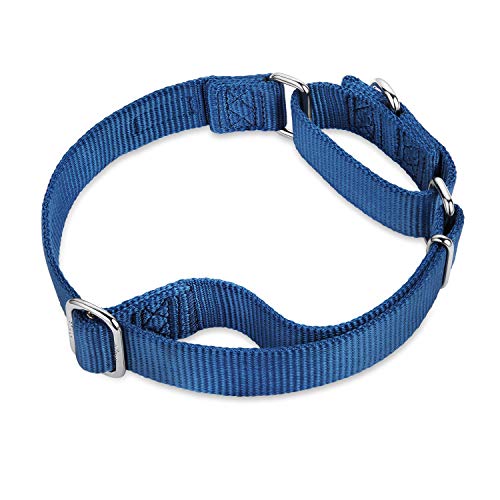 Hyhug Martingale Collar for Dogs Small Blue |Escape - Proof Heavy Duty Nylon Durable No Buckle, Ideal for Training & Daily Walks | Heavy-duty nylon delivers gentle control for puppies. Ideal for training and park walks. Adjustable, comfortable, and secure
