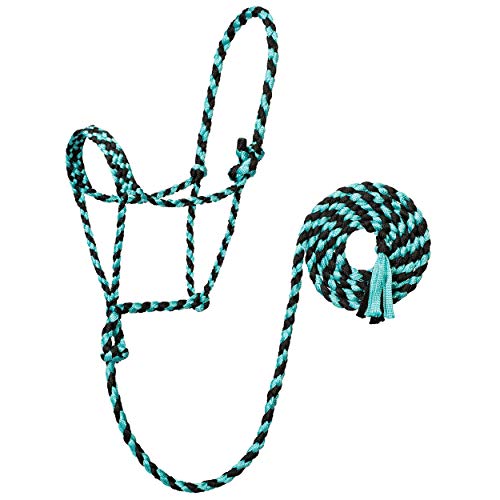 Weaver Leather Braided Rope Halter with 10' Lead, Mint/Black, Average Horse