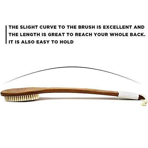 ICANdOIT-17.71Inch Natural Boar Bristles Anti-Slip Long Handle Bath Brush,Bent Handle Shower Scrubber for Exfoliating,Shower Back Brush,Exfoliation Set with Pumice Stone (1 Pack) - size: Boar Bristles 17.71 Inch(Pack of 1)
