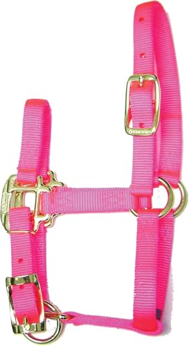Hamilton Quality Adjustable Horse Halter, 100-200 lbs, Hot Pink - color: Hot Pink, size: Pony, 100-200lbs