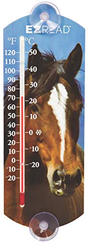 Headwind Consumer Products 840-0048 Indoor/Outdoor Thermometer with Horse, 10-Inch