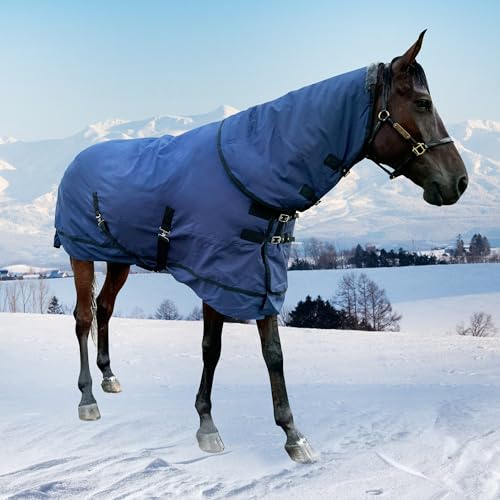Horse Turnout Blanket | Medium Weight Horse Blanket with 1200D 250g Cotton Filling | Detachable Neck Cover & Belly Wrap (72in/135cm) - color: Blue&Black