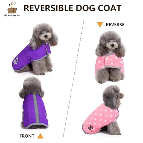 Queenmore Dog Winter Coat, Cold Weather Fleece Dog Jacket, Small Dog Coat - color: Purple, size: X-Small