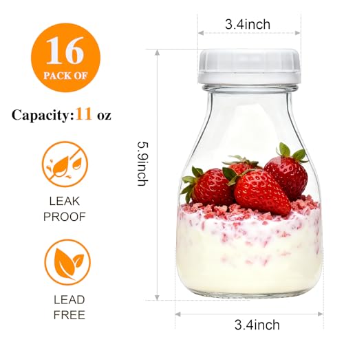 11oz Glass Milk Bottles, 16 Pack Clear Bottles with Lids | Reusable Small Glass Jars for Milk, Juice, Smoothie, Overnight Oats, Cold Brew, Iced Coffee, DIY Storage, Gift, Party - size: 11oz-16pack