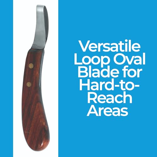 7 Inch Swiss Hoof Knife Double Edged – Stainless Steel Curved Blade Farrier Tool with Round Wooden Grip, Multipurpose Hoof Trimming Knife for Livestock. (Oval Hoof Knife) - style: Oval Hoof Knife