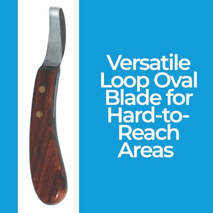 7 Inch Swiss Hoof Knife Double Edged – Stainless Steel Curved Blade Farrier Tool with Round Wooden Grip, Multipurpose Hoof Trimming Knife for Livestock. (Oval Hoof Knife) - style: Oval Hoof Knife