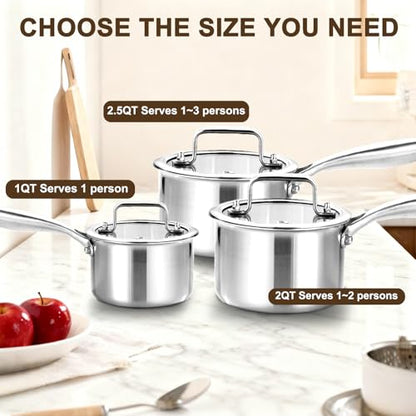 DELARLO Full-body Clad Tri-ply Stainless Steel 2 Quart Saucepan with Lid - color: Silver, size: 2 Quarts