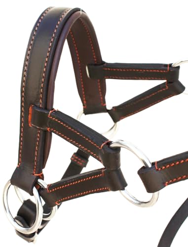 Horse Western English Leather BITLESS Bridle SIDEPULL Halter REINS COB 7701BR-C