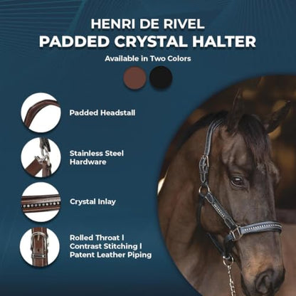 Henri de Rivel Ergonomic Premium Leather Padded Crystals Halter - Black - Pony - color: Black, size: Pony
