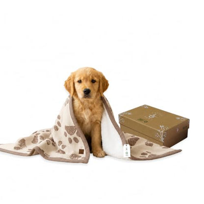 Organic Cotton Pet Blanket 30x38 in, Sherpa, Earth Ivory/Mocha - color: Earth Ivory / Mocha Meringue