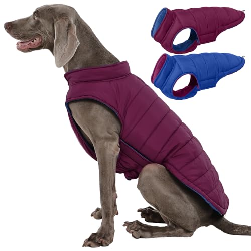 QBLEEV Reversible Dog Jacket, Windproof Dog Coat, Lightweight Puffer Vest - color: Violet-Blue, size: XX-Large