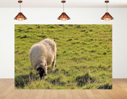 4x4ft Fabric Fluffy Wool Sheep Backdrop Rolling Green Grassland Pasture Farm Wildlife Photography Background Tapestry Country Farm Animal Decorations Banner Photo Booth Props - size: 4x4ft
