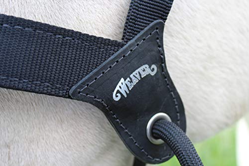 Weaver Leather Stacy Westfall Catch Halter