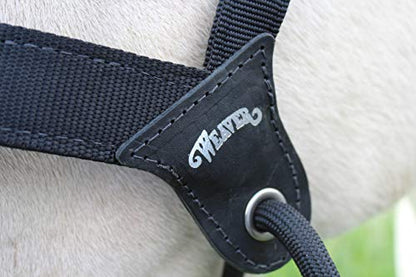 Weaver Leather Stacy Westfall Catch Halter