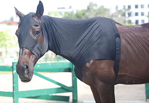Leberna Stretch Horse Hood with Zip Full Face Neck Cover (Black, M) - color: Black, size: M