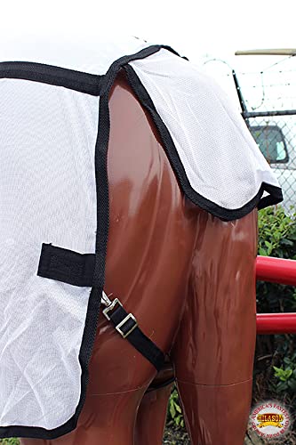 HILASON 66 in Horse Fly Sheet White Black Piping UV Mesh - color: White With Black Piping, size: 66 In