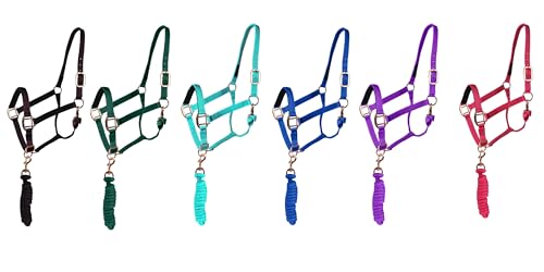 Majestic Ally Halter with Lead Rope for Horses–Adjustable Chin and Crown–Rolled Throat Latch with Replaceable Snap–Padded Noseband–Heavy Duty Rose Gold Finish Hardware - color: Purple
