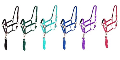 Majestic Ally Halter with Lead Rope for Horses–Adjustable Chin and Crown–Rolled Throat Latch with Replaceable Snap–Padded Noseband–Heavy Duty Rose Gold Finish Hardware - color: Purple