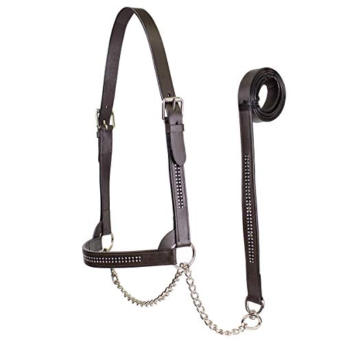 Derby Originals New and Improved Premium Crystal Bling Rhinestone Inlay Flat Leather Cattle Show Halter with Matching Chain Lead - color: Havana, size: Medium (650-1050lbs)