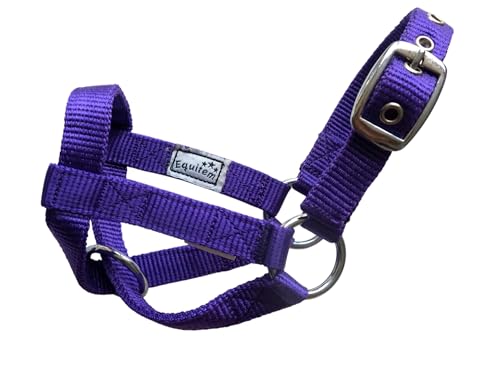Livestock Goat Halter. Small, Medium, Large – Safe & Adjustable for Milking, Training, and Travel. (Purple, Medium (30"–33")) - color: Purple, size: Medium (30"–33")