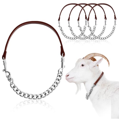 Misdary 4 Pcs Goat Show Collars Adjustable 14" Chain, 14'', Brown - color: Brown