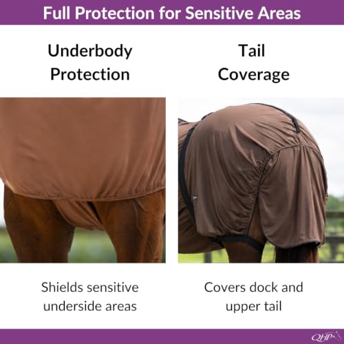 QHP Horse Fly Sheet | Sweet Itch Rug - color: Brown, size: 69 inch