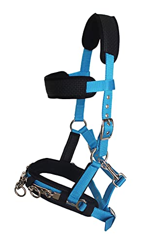 CHALLENGER Nylon Lunge Padded Cavesson Halter Horse Tack Turquoise 606F03P
