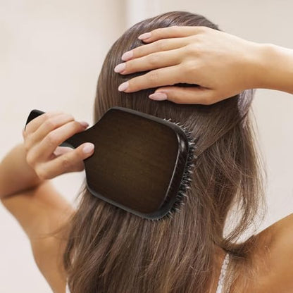 Norsewood Boar Bristle Hair Brush Set, Soft Bristle Detangler for Long, Short, Thin, Curly, Straight, or Wavy, Hairbrush for Enhancing Shine, Great for Men, Women, and Kids (Pack of 2) - size: Detangler Brush (Pack of 2)