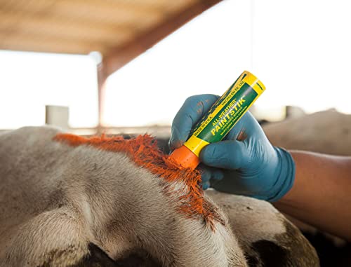 All-Weather Paintstik 61025- Livestock Marker, Highly Visible, Nontoxic Paint for Marking Animal Skin, Hide, Pelt, Wet & Dry- Ideal for Cattle Heat Detection, Blue (12 Pk) Made in USA