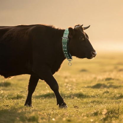Cattle Collar Adjustable Sheep Neck Strap Thick Canvas Four-Layer Nylon Thickened Collar with 2-Rows Metal Buckle and Ring Metal Buckle Traction Chain for Farm Animals Pets (37"~53.1") - size: 37"~53.1"
