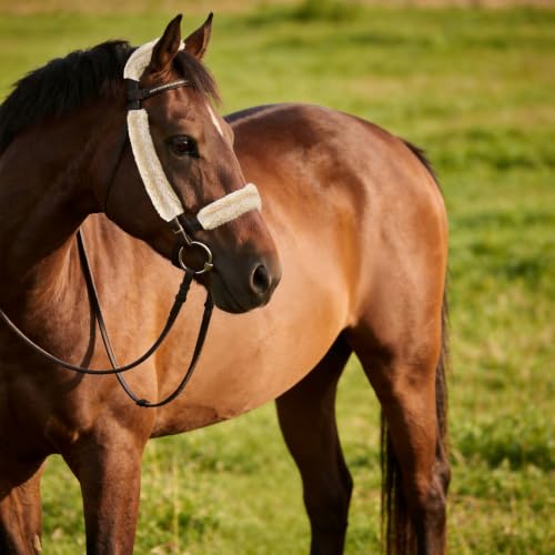 Fleece Horse Halter Cover (BNC Series (4-Piece), Cream) - color: Cream, style: BNC Series (4-Piece)