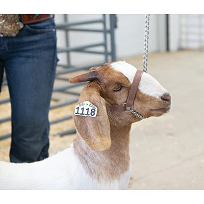 Weaver Leather Livestock Adjustable Brahma Webb Goat Halter - size: Large