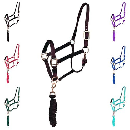 Majestic Ally Halter with Lead Rope for Horses–Adjustable Chin and Crown–Rolled Throat Latch with Replaceable Snap–Padded Noseband–Heavy Duty Rose Gold Finish Hardware - color: Black