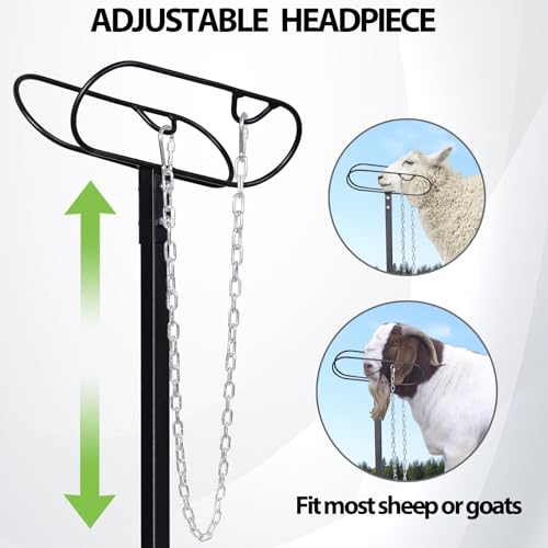 Metal Livestock Stand, Sheep Livestock Stand 50“ x 22.8" - size: 50“ x 22.8"