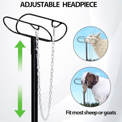 Metal Livestock Stand, Sheep Livestock Stand 50“ x 22.8" - size: 50“ x 22.8"