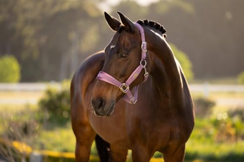 LeMieux Versailles Halter